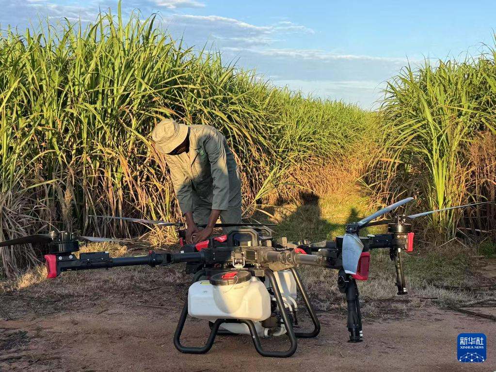 3月25日，在南非夸祖魯-納塔爾省的方廷希爾莊園，工作人員為無(wú)人機(jī)做起飛作業(yè)前的準(zhǔn)備。新華社記者 白舸 攝