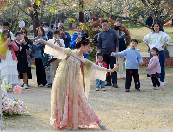 清明假期期間，上海顧村公園櫻花島上，游客在觀賞國風漢服快閃表演。（圖片來源：視覺中國）