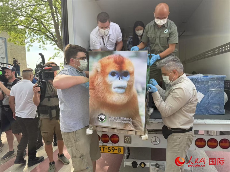 圖為活動現(xiàn)場。人民網(wǎng)記者 牛瑞飛攝