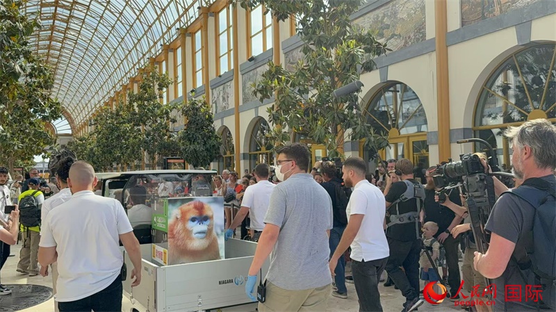 圖為活動現(xiàn)場。人民網(wǎng)記者 牛瑞飛攝