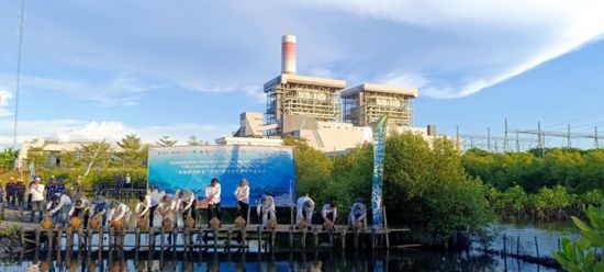 5月18日，中印尼嘉賓在爪哇7號燃煤電站舉行紅樹林補植儀式。記者 曹凱 攝