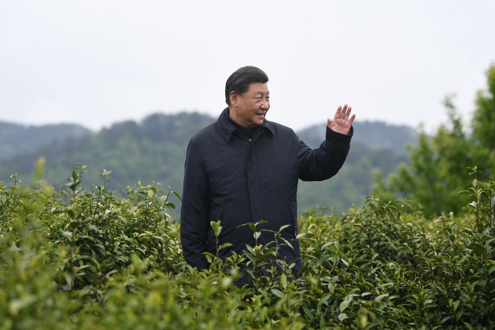 2020年4月21日，習(xí)近平總書記來到陜西安康市平利縣老縣鎮(zhèn)，在茶園考察脫貧攻堅(jiān)情況。新華社記者 燕雁 攝