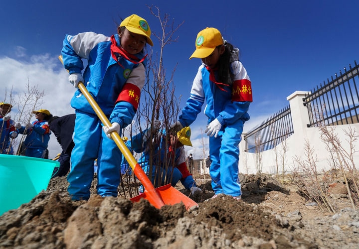 2025年4月25日，西藏那曲市小學生在植樹。新華社記者 晉美多吉 攝