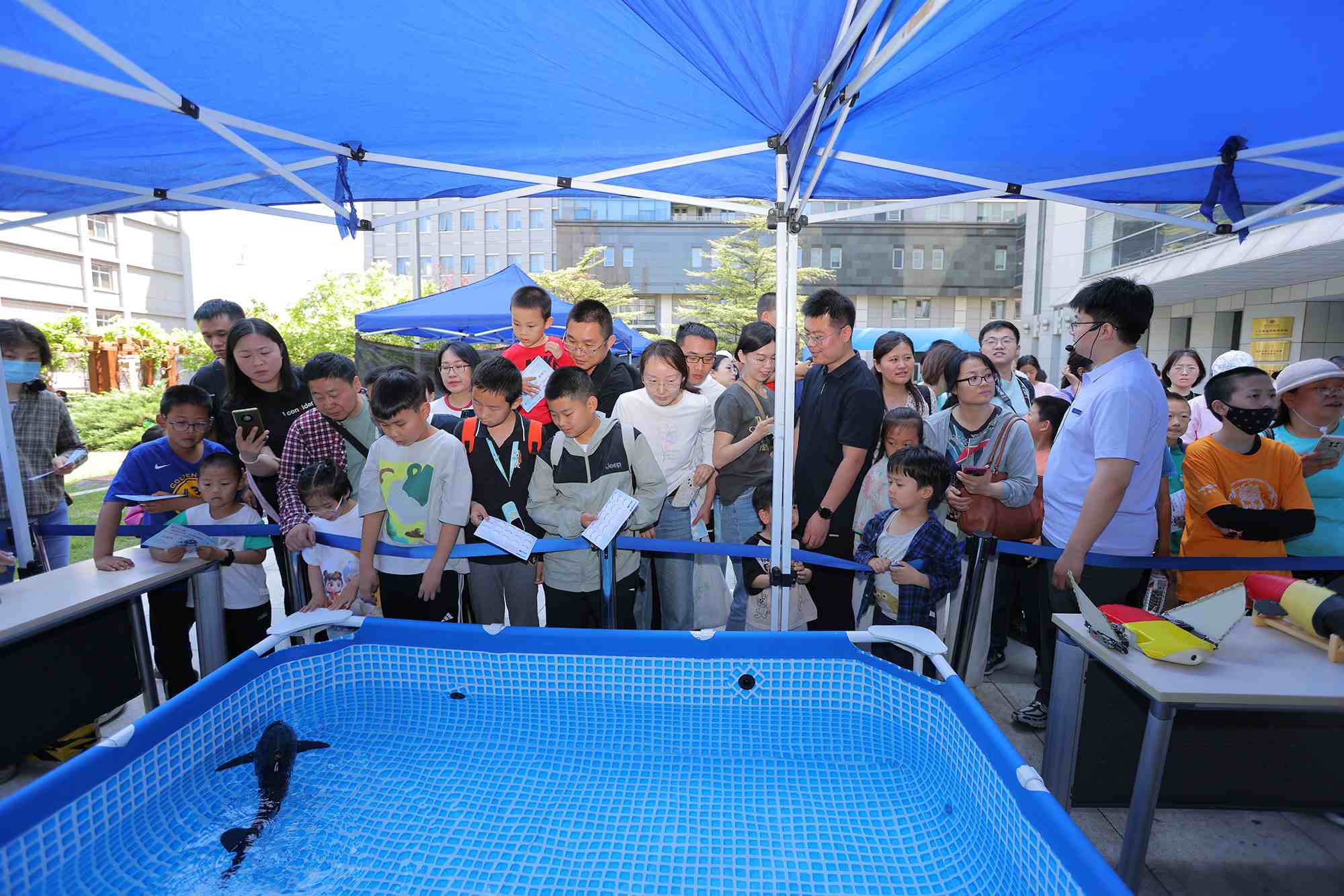 水下仿生機器魚在活動現(xiàn)場大受歡迎。中國科學院自動化研究所供圖